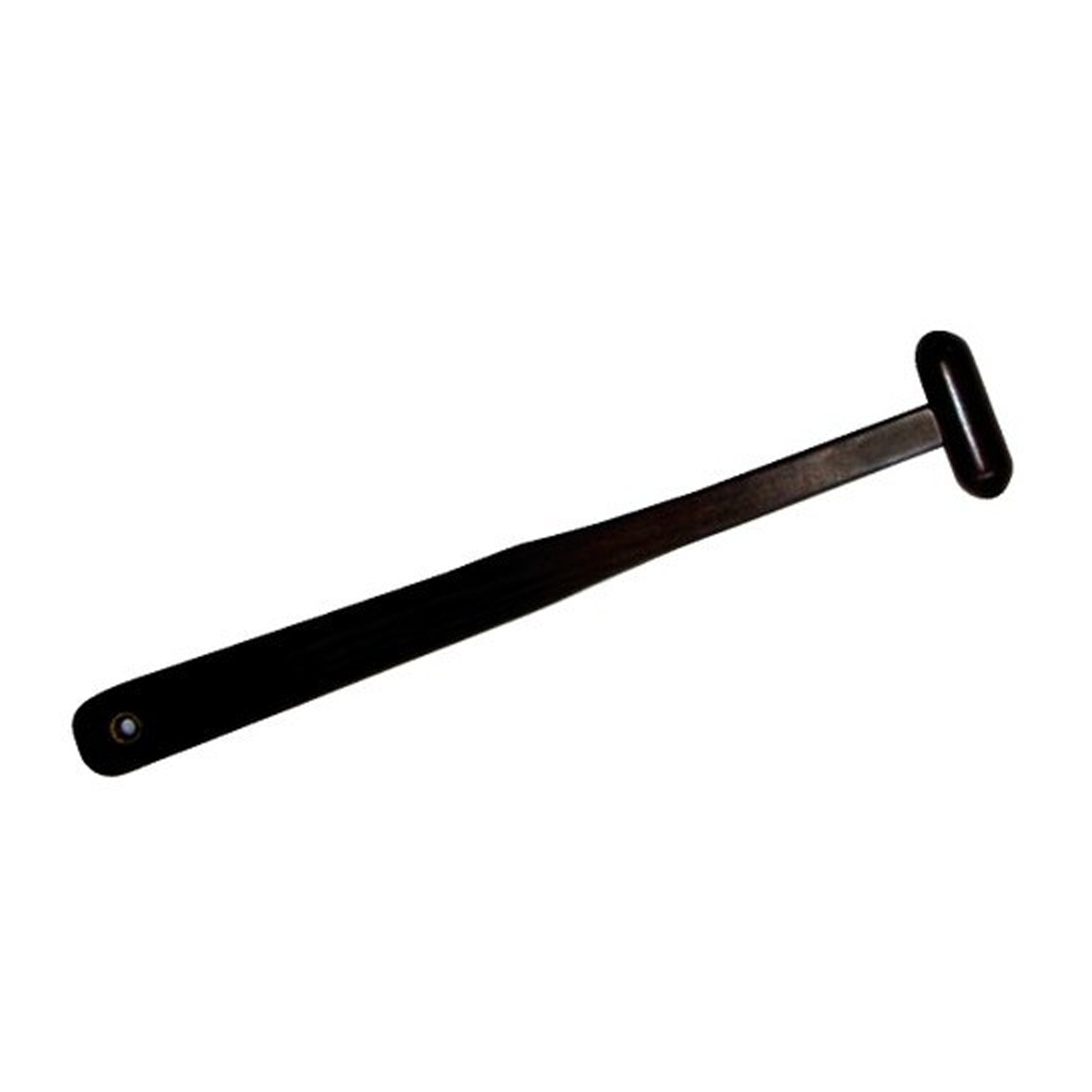 黒檀支木(大)《50%OFF》