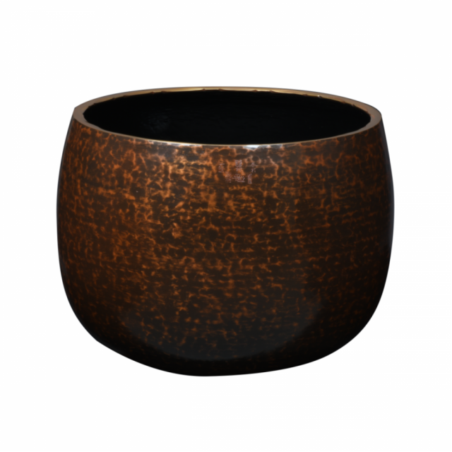 大徳寺リン　重目・色付1.1尺《60％OFF》