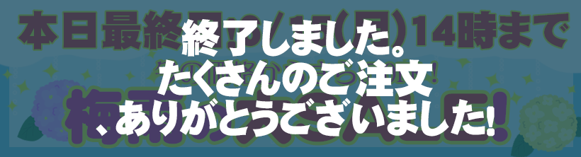 サイトロゴ