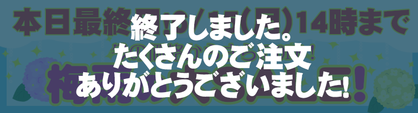 サイトロゴ